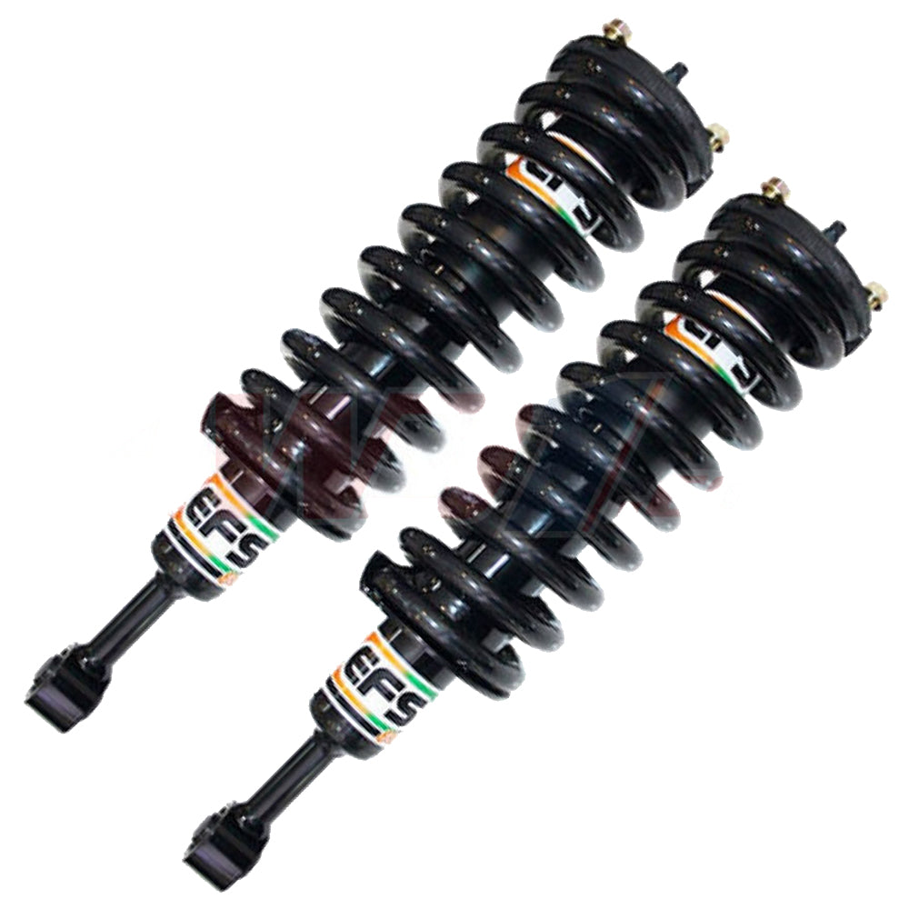 Front EFS Elite Assembled Struts LDV T60 (Pair)